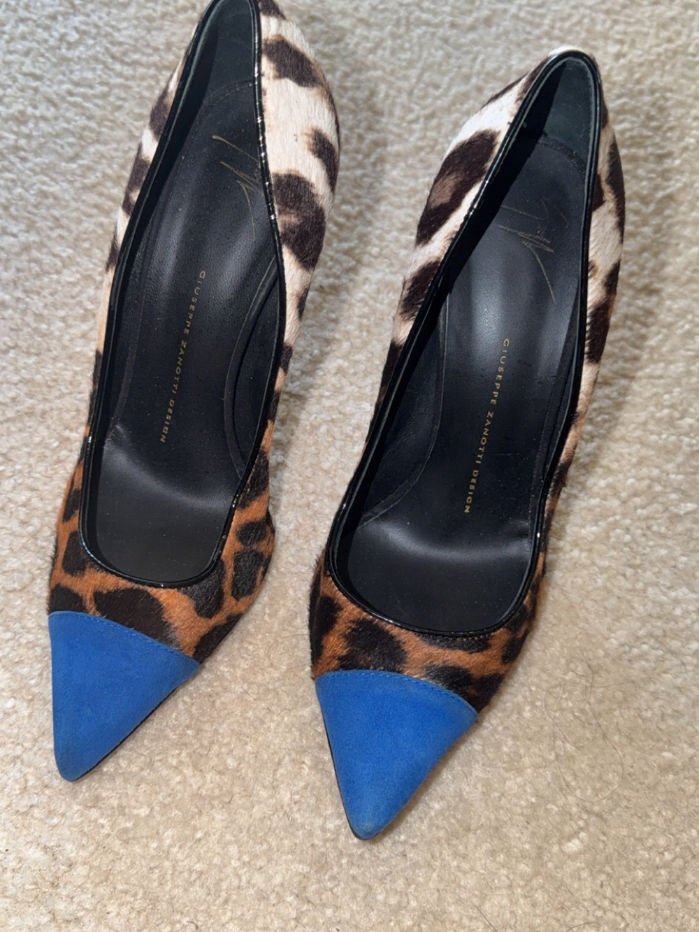 Giuseppe Zanotti Leopard Print Pumps with Blue Cap Toe